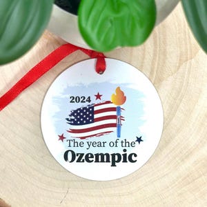 Enfeite engraçado de 2024: o ano de, presente de brincadeira, presente de Natal