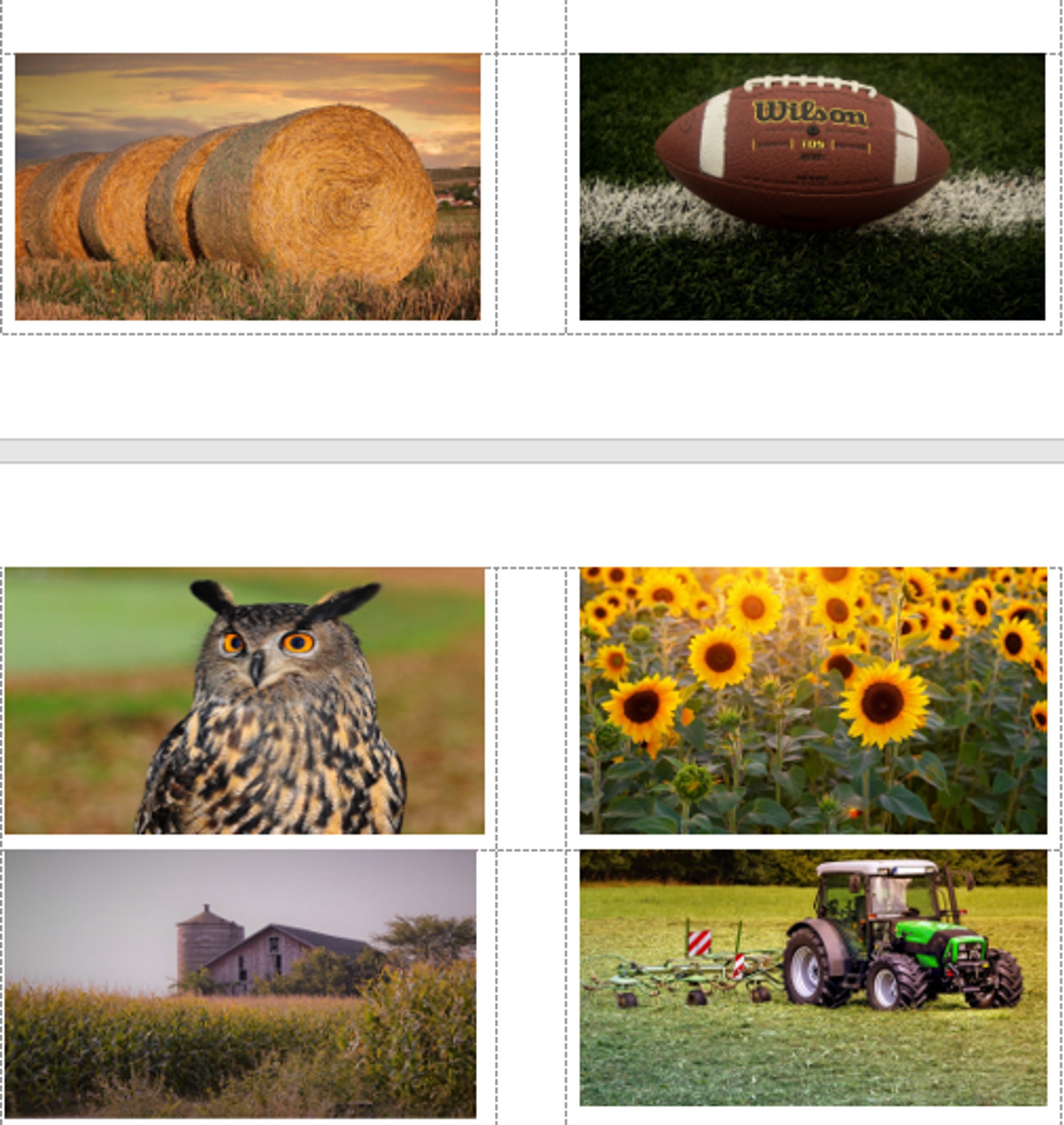 Matching Grid Fall Flashcards and Fall Matching/grid Game - Etsy