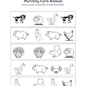 May include: A black and white worksheet with the title "Matching Farm Animals". The worksheet has five rows of four images each. The images are of farm animals, including cows, sheep, pigs, chickens, turkeys, ducks, horses, squirrels, and dogs. The instructions are to draw a circle around the animals that match.