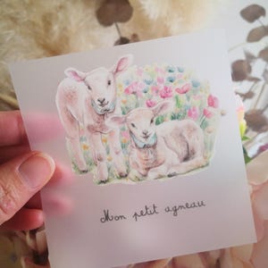Peut inclure: Une illustration aquarelle de deux agneaux blancs dans un champ de fleurs roses et bleues. Le texte "Mon petit agneau" est écrit sous les agneaux.