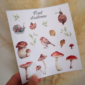 Peut inclure: Une feuille d'autocollants sur le thème de la forêt d'automne. Les autocollants comprennent des champignons, des escargots, des feuilles et un rouge-gorge. Le texte "Foret d'automne" est imprimé sur la feuille.
