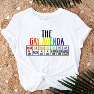 The gay agenda shirt, Gay Shirt, LGBT Shirt, Bisexual Shirt, Lesbian Shirt, vintage shirt, LGBT Gift, Pride Rainbow Shirt, trendy shirt