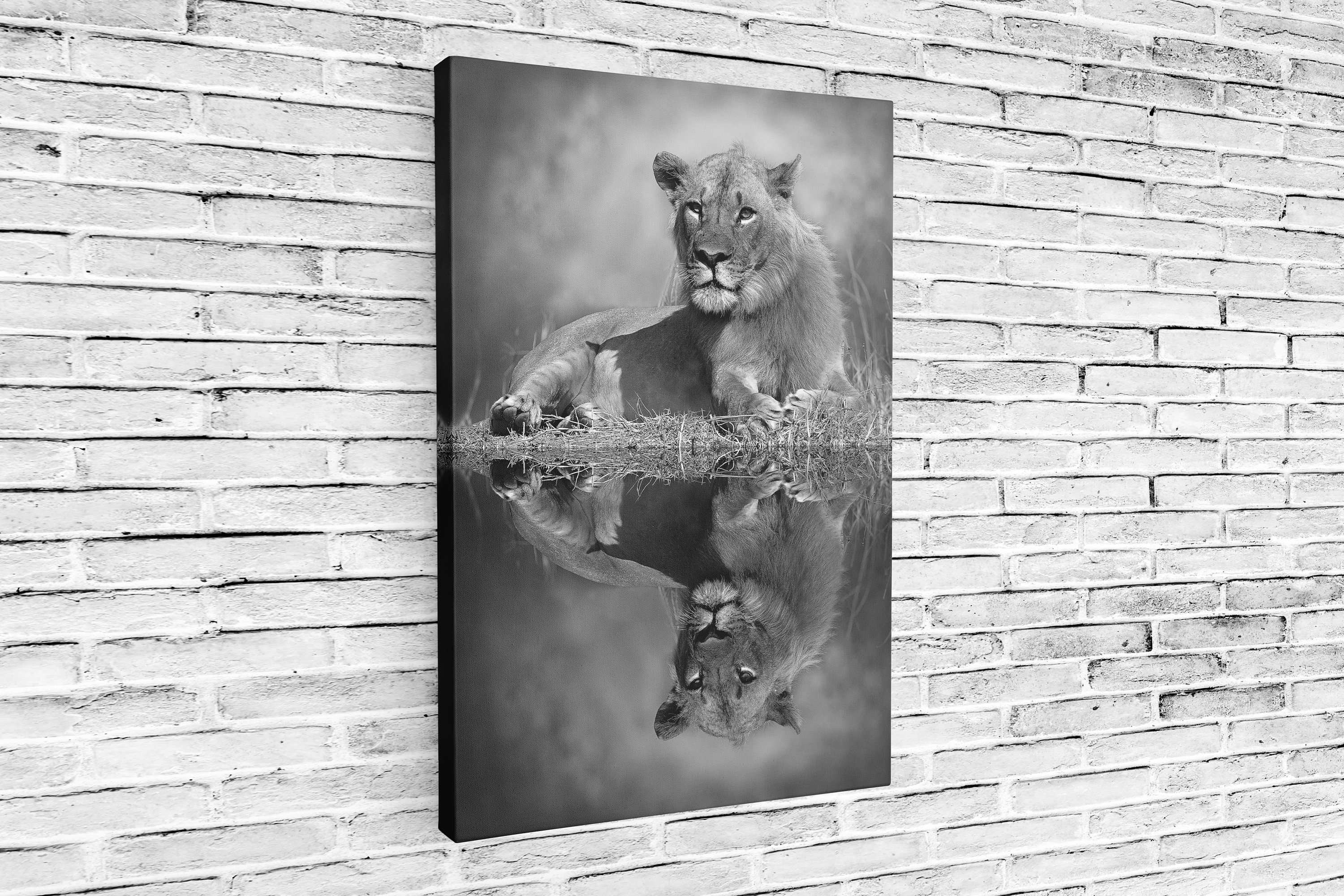Animal Lion King canvas Decor Glass Wall Art Canvas Etsy