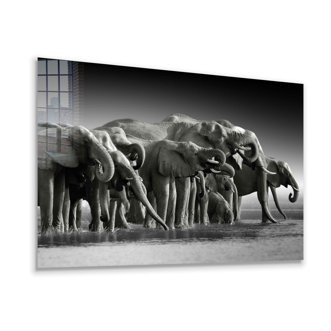 Monochrome Wall Decorelephants Wall Arttempered Glass Artcanvas Wall