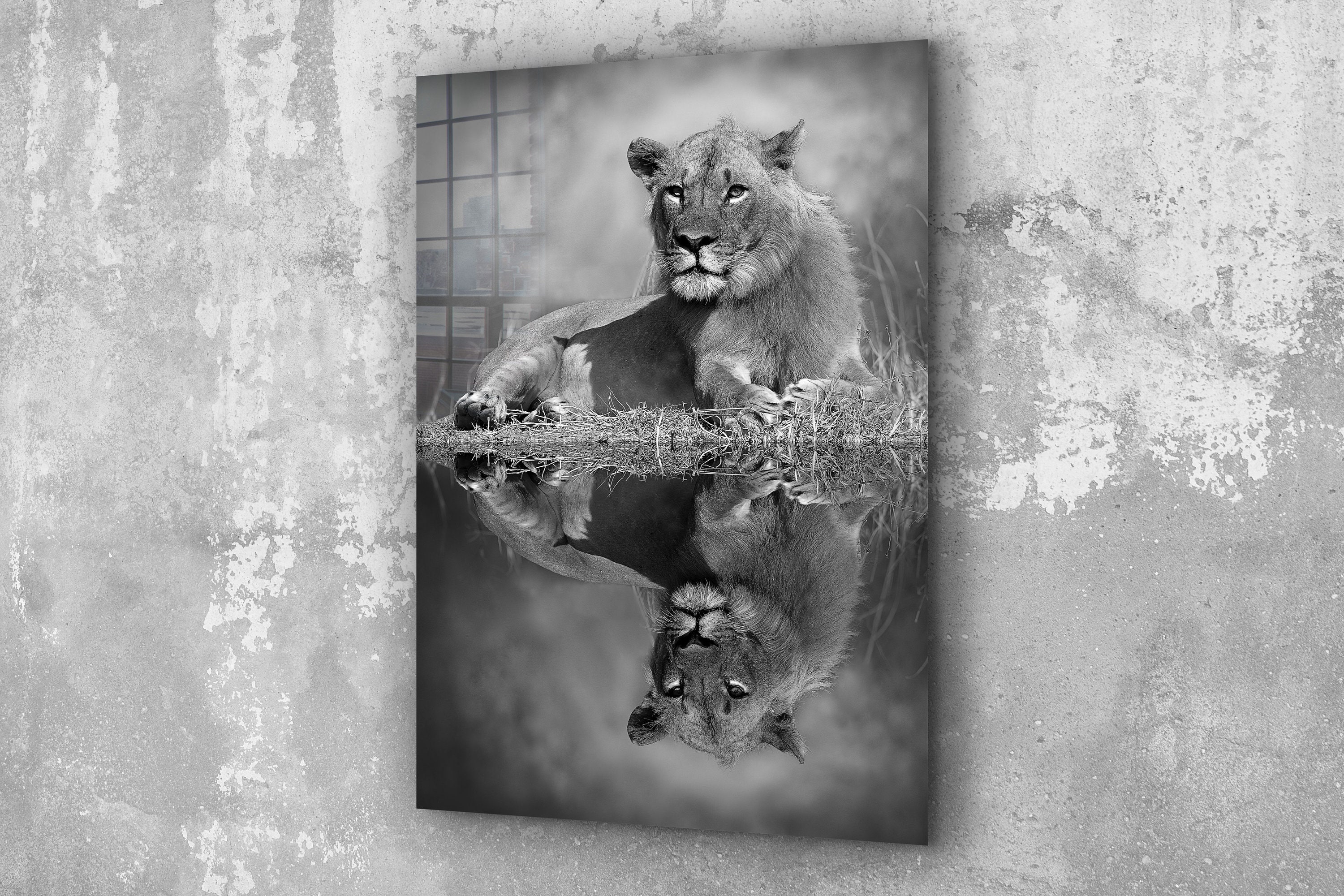 Animal Lion King canvas Decor Glass Wall Art Canvas Etsy