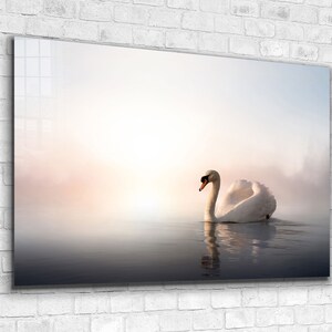 Swan , Bird , White Swan ,Glas Wall Art ,Canvas Wall Art , Modern Art,  , Room Decor Mother&#39;s Day Gift