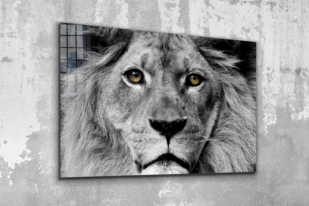 Lion , Animal , King , Glas Wall Art ,canvas Wall Art , Modern Art