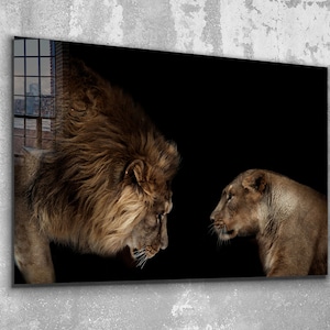 Tempered Glass Wall Art- Canvas Wall Art -Lion an Lioness Wall Art-Modern Art- -Modern Room Decor Mother's Day Gift