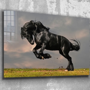 Black Horse Canvas Decor, Glass Wall Art ,  Canvas Wall Art , Animal Wall ArtMemorial Day Sale