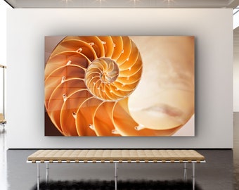 Nautilus Shell Canvas Decor, Glass Wall Art ,  Canvas Wall Art ,Room Decor , Spiral Nautical Picture Mother's Day Gift