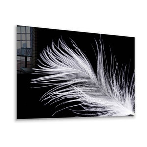 Tempered Glass Wall Art / Canvas Wall Art  / Feather Wall Art / Glass Printing / Canvas Printing / Large Wall Art / Wall Hangings