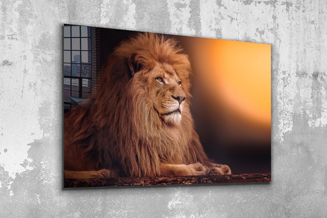 Lion , King , Animal , Glas Wall Art , Canvas Wall Art , Modern Art