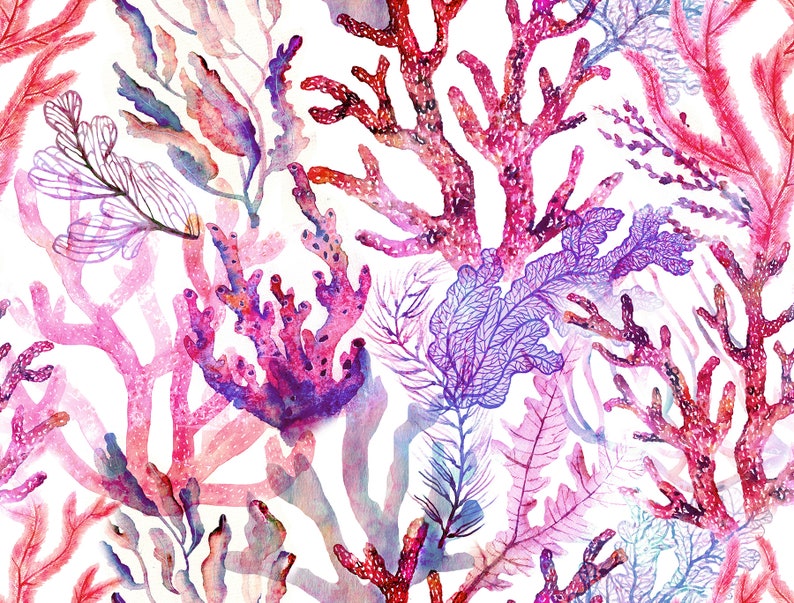 Coral Reef Upholstery Fabric by the Yard Colorful Marine Etsy