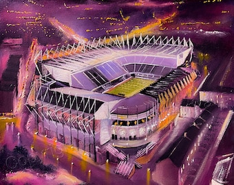 Newcastle United - St James Park  20'' x 20'' box canvas print