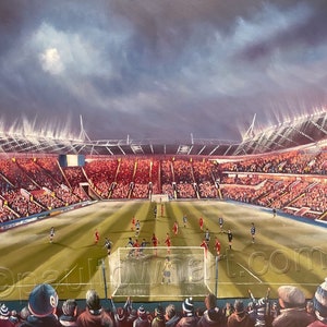 Madejski Stadium,  Reading   -  A3  print