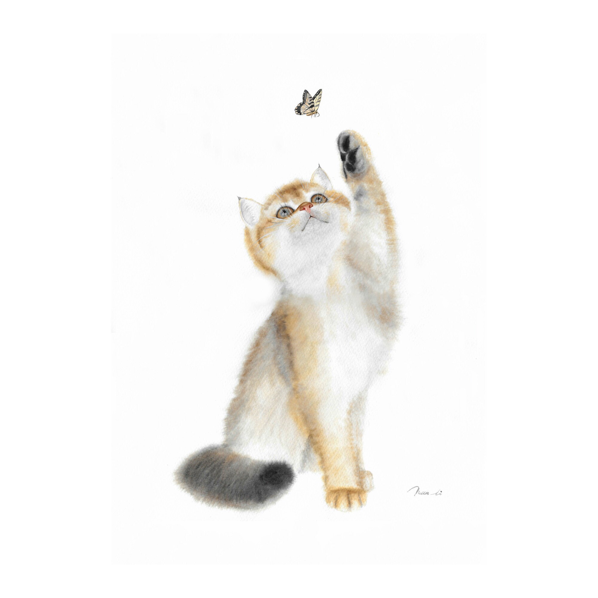 cat chasing butterfly