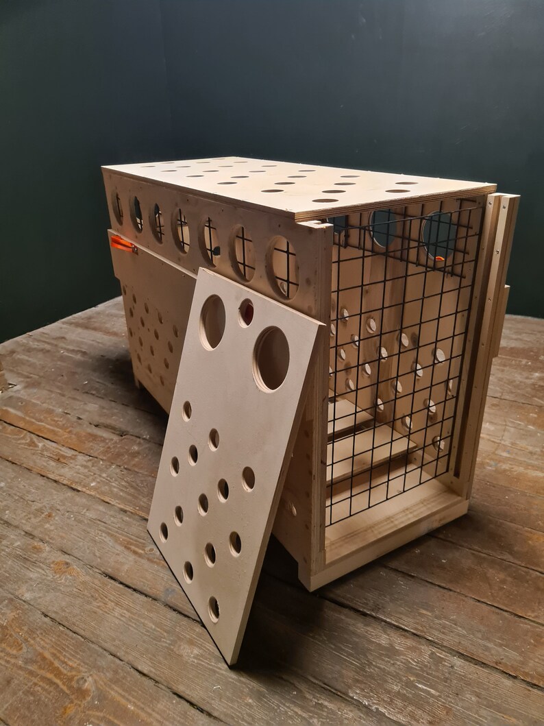 iata cr82 crate