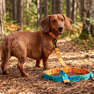 Versatile Multi-Use Dog Leash Adjustable Double Ended Lead Hands-Free Walking 16 Styles 2.4M 3M 5M Durable Polish Craft Yellow Blue