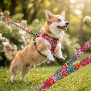 Multi-Function Adjustable Dog Leash Hands-Free Walking Long Training Lead 16 Designer Patterns 2.4M 3M 5M Premium Quality Pink Flowers