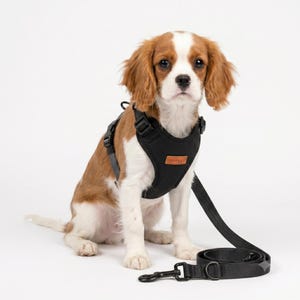 Long Training Dog Leash Adjustable Multi-Function Hands-Free Lead 16 Unique Prints 2.4M 3M 5M Durable Soft Pet Gear Durable Polish Craft