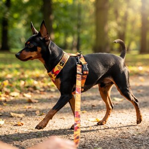 Adjustable Dog Leash Multi-Function Long Training Lead Hands-Free 16 Designer Patterns 2.4M 3M 5M Waterproof Polish Handmade Dino Yellow