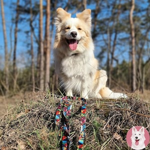 Könnte beinhalten: Ein glücklicher, hellfarbiger Hund mit flauschigem Fell sitzt draußen mit einer bunten, gemusterten Leine. Der Hund hat eine rosa Zunge und lächelt. Der Hintergrund zeigt Bäume und einen blauen Himmel.