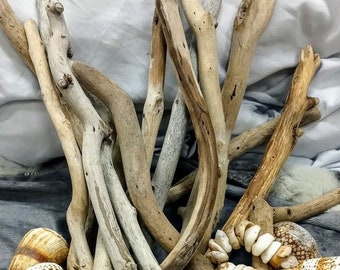 Pounds 3 Bulk Driftwood Medium Box of Driftwood 11\u201dx8\u201dx5\u201d