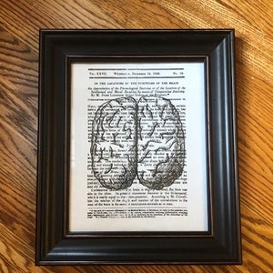 Anatomical sketch of the brain- neurosurgeon/neurologist gift, medical student gift