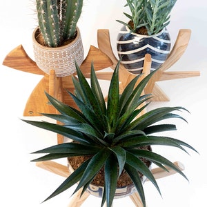 Indoor plant stand Office decor House plants Succulent planter Plant pot stand Tall plant stand Farmhouse decor Mom gift Planter pot planter