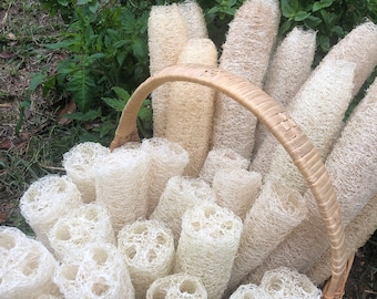 Homegrown Organic Luffa