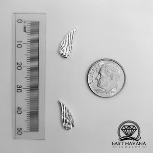 Ala .950 Fundición en Plata