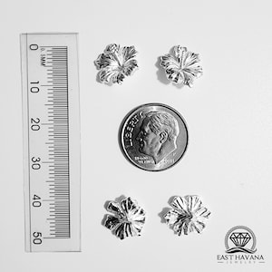 Op de afbeelding: Vier zilveren hibiscusbloembedels, elk ongeveer 1,5 cm in diameter. De bedels worden getoond naast een Amerikaanse dime voor groottevergelijking.
