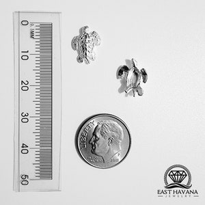 Tortuga Fundición de Plata .950