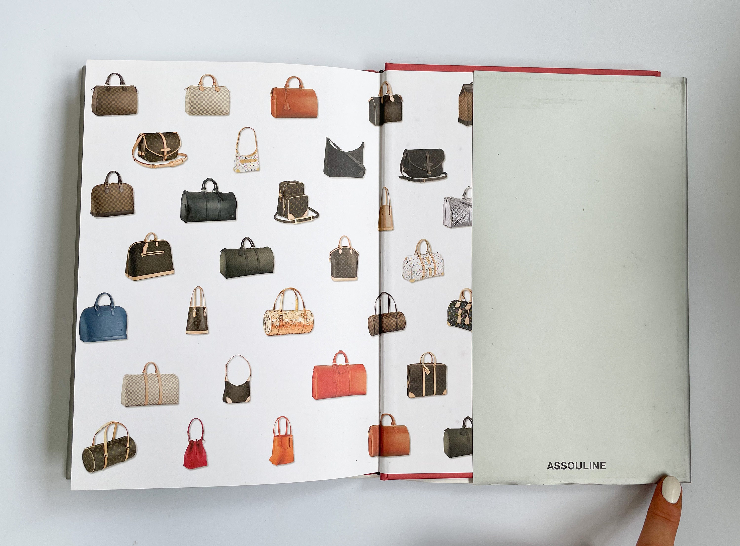 Louis Vuitton City Bags: A Natural History [Book]