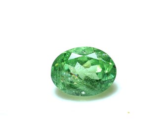 Natural Tsavorite Mint Green Garnet – 0.74 ct, Oval Faceted Cut, Flawless–VVS Clarity, Earth-Mined Loose Gemstone Tanzania