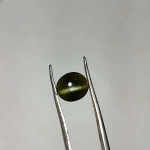 Natural rare diopside cateye gem round shape gemstone