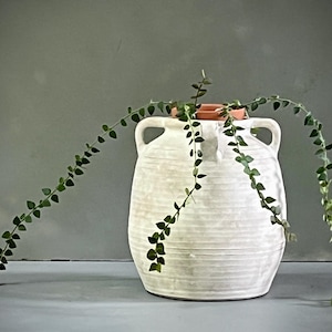 May include: A large, off-white ceramic vase with two handles, holding a trailing green plant. The vase has a textured, ribbed surface and a small terracotta pot at the top. The plant's leaves are small and heart-shaped.