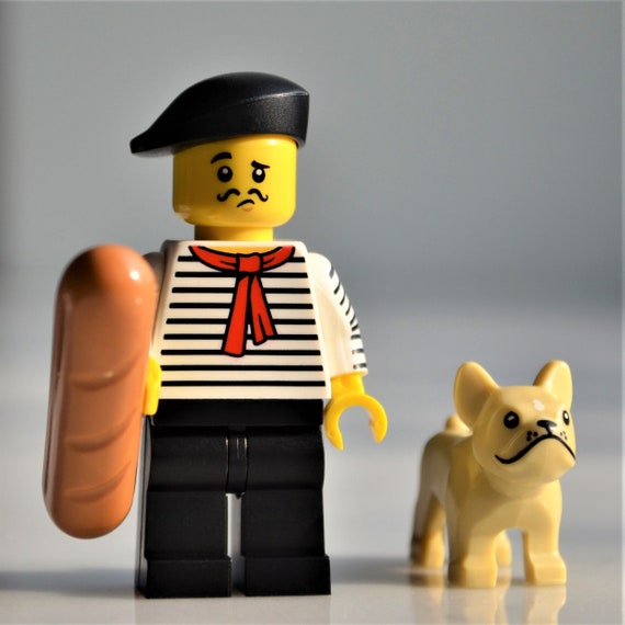 Lego Veterinarian Minifigure - with French Bulldog, and Grooming Supplies  Minifig : : Toys