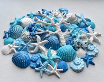 40 Edible Sugar Seashells: Blue & White Cake Toppers