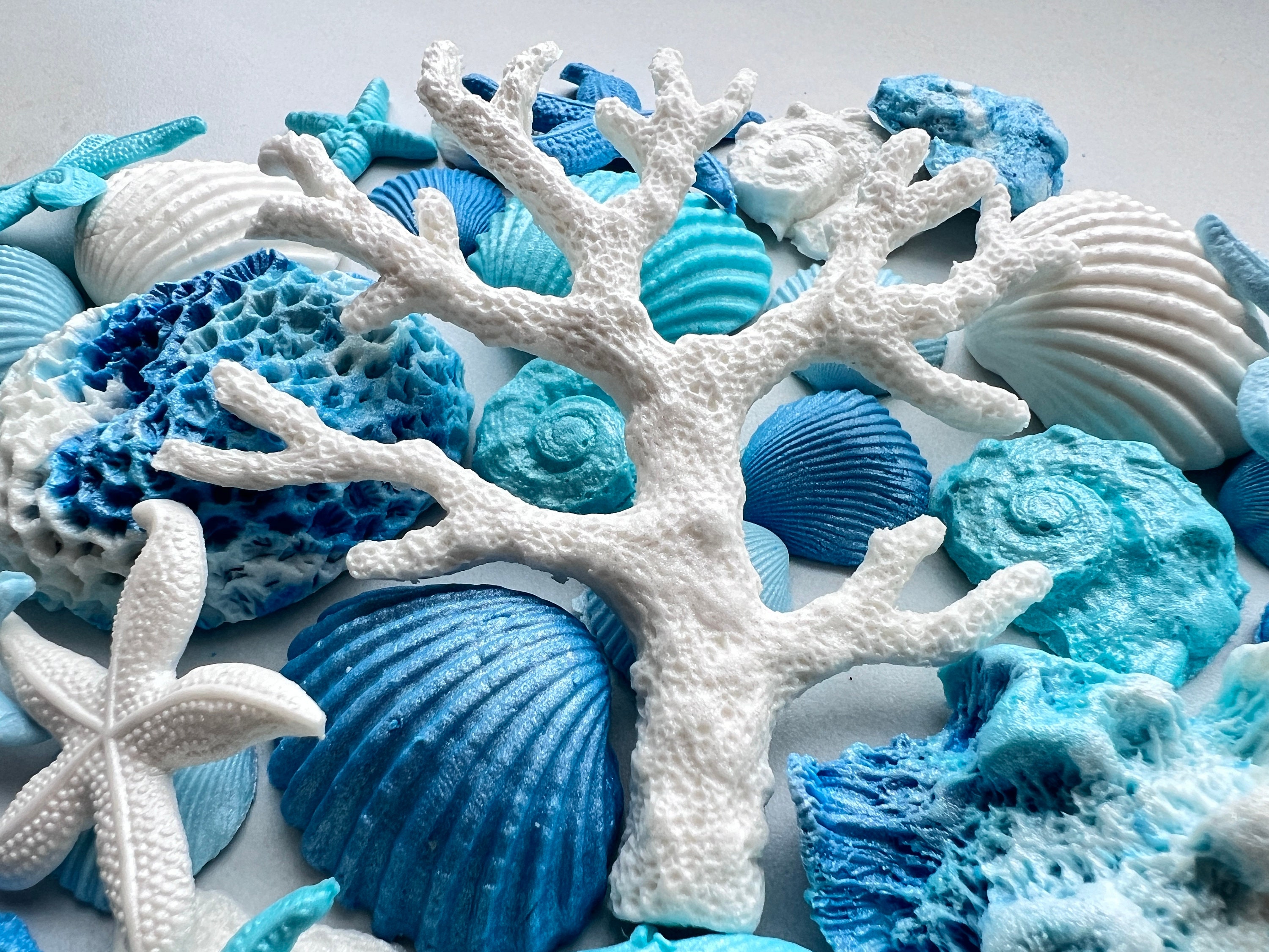 40 Edible Sugar Seashells: Blue & White Cake Toppersno Extra Fees for ...