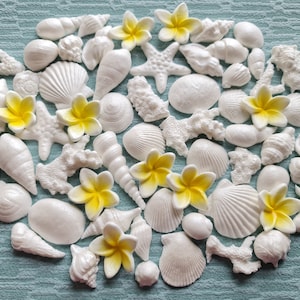 60 pcs. Edible sugar fondant seashells, shells, plumeria cake topper. White.