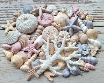 40 pezzi. Conchiglie di zucchero fondente, stelle marine, coralli, cake topper in colori naturali