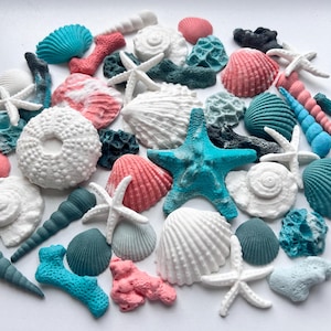 30 coquillages fondant au sucre : coquille de palourde, décoration de gâteau en corail
