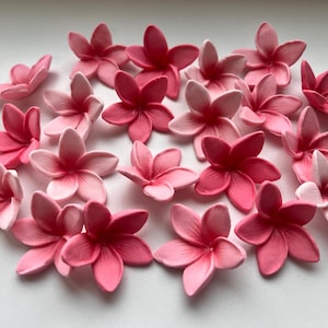 Essbare Plumeria Flower Cake Topper: Hawaii Frangipani, 24 Stück