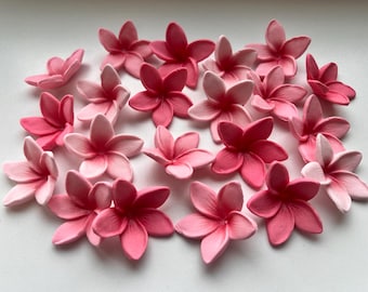 食べられるプルメリアの花のケーキトッパー：ハワイアンフランジパニ、24個