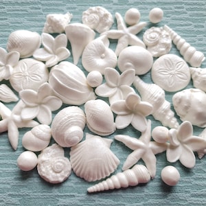 Peut inclure: Une collection de coquillages et d'étoiles de mer blancs, y compris des dollars de sable, des conques et des coquilles Saint-Jacques. Les coquillages sont disposés en cercle sur un fond bleu.
