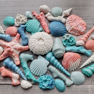 30 pezzi. Decorazioni per torte in zucchero, fondente, conchiglie, stelle marine, coralli. Colori tropicali.