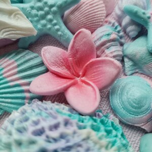 May include: A close-up of a variety of pastel-colored seashells and starfish, including a pink flower with five petals.