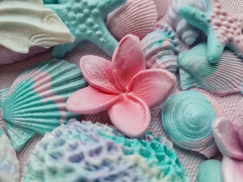 May include: A close-up of a variety of pastel-colored seashells and starfish, including a pink flower with five petals.