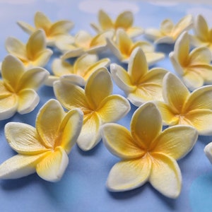 24 edible sugar fondant Plumeria tropical flower Hawaii cake topper mermaid decorations yellow